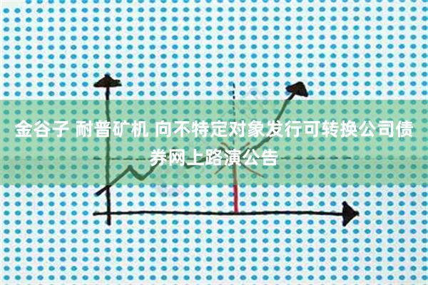 金谷子 耐普矿机 向不特定对象发行可转换公司债券网上路演公告